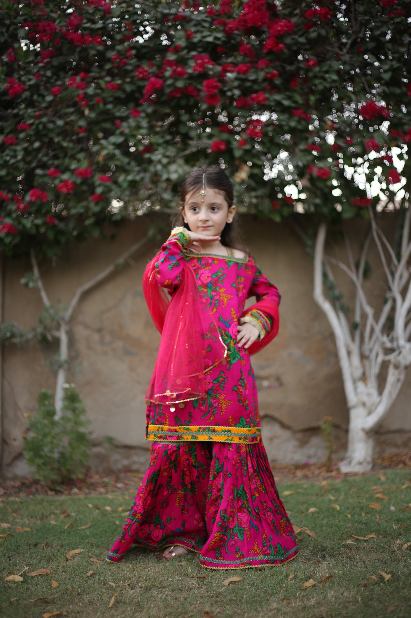 Gulabi Sumbul - Floral print embellished Gharara 3 pc
