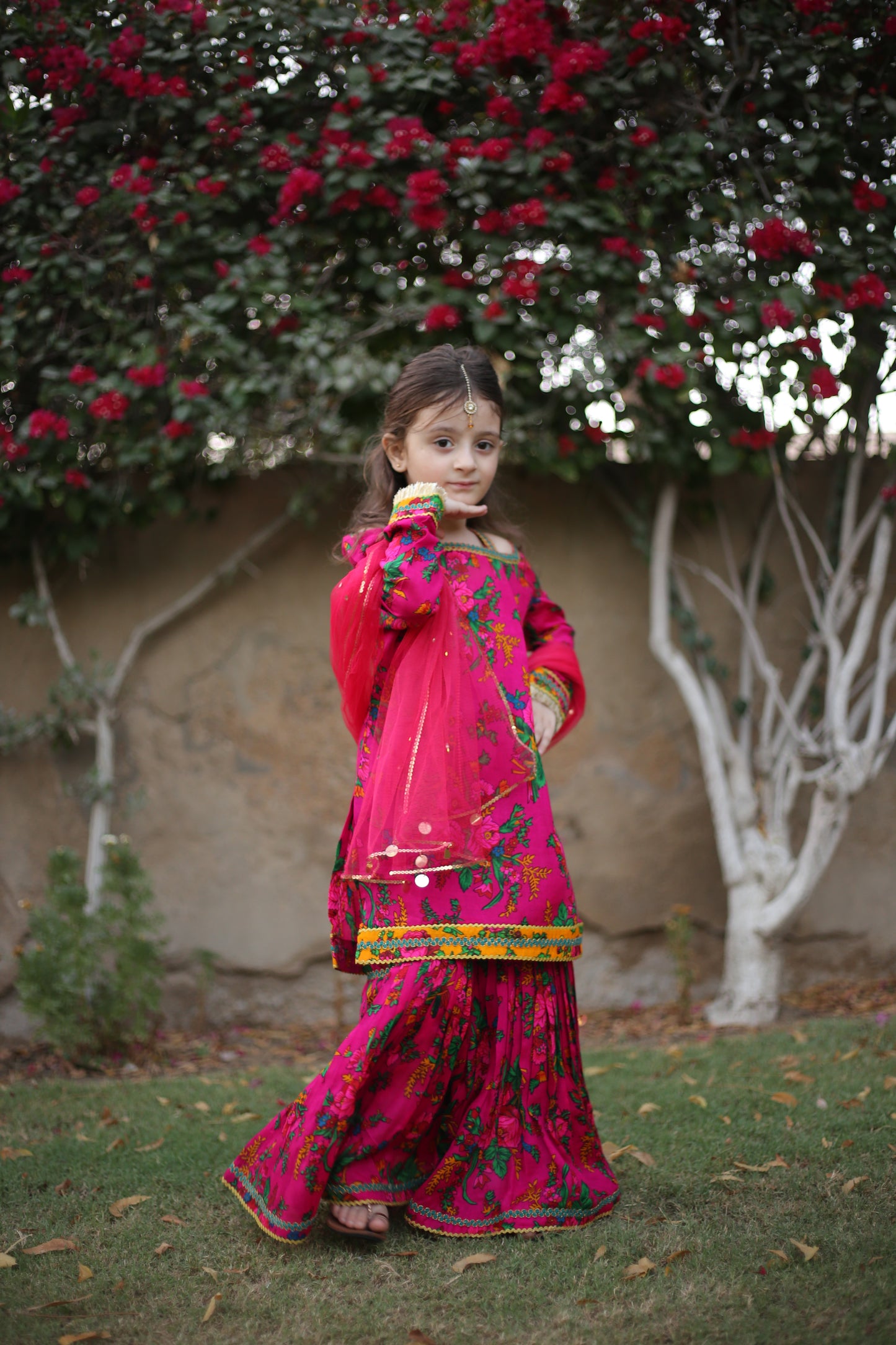 Gulabi Sumbul - Floral print embellished Gharara 3 pc